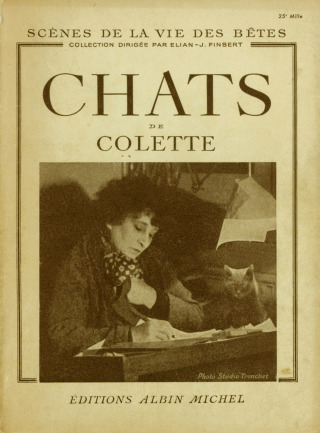 Cover image: Chats 1st edition 9782226021458