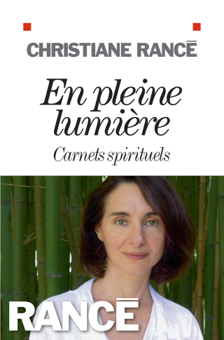 Cover image: En pleine lumière 1st edition 9782226326263