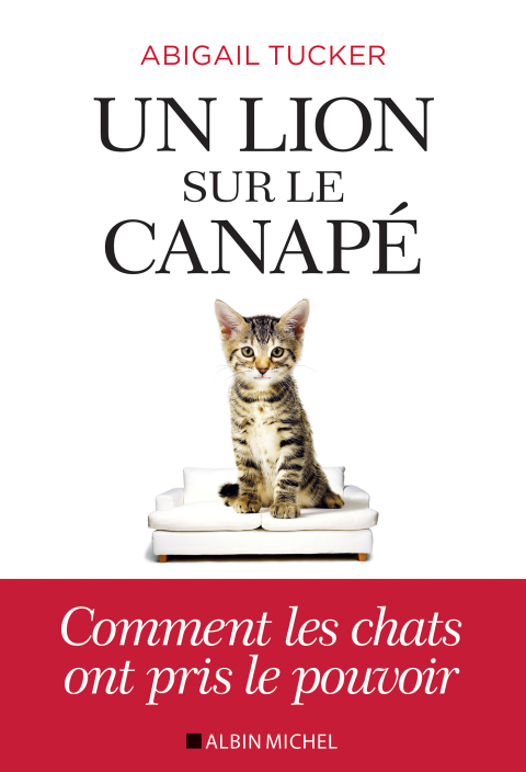 Un lion sur le canapé: Comment les chats ont pris le pouvoir, 1st Edition - FULL INSTANT DOWNLOAD | PDF DOCX EPUB
