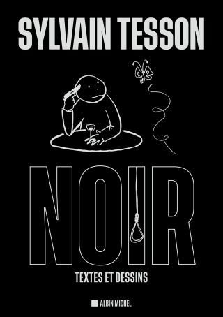 Cover image: Noir 1st edition 9782226473974