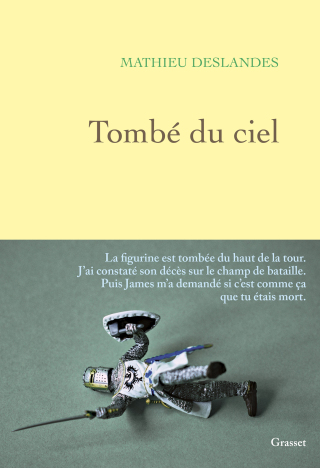 Cover image: Tombé du ciel 9782246834717