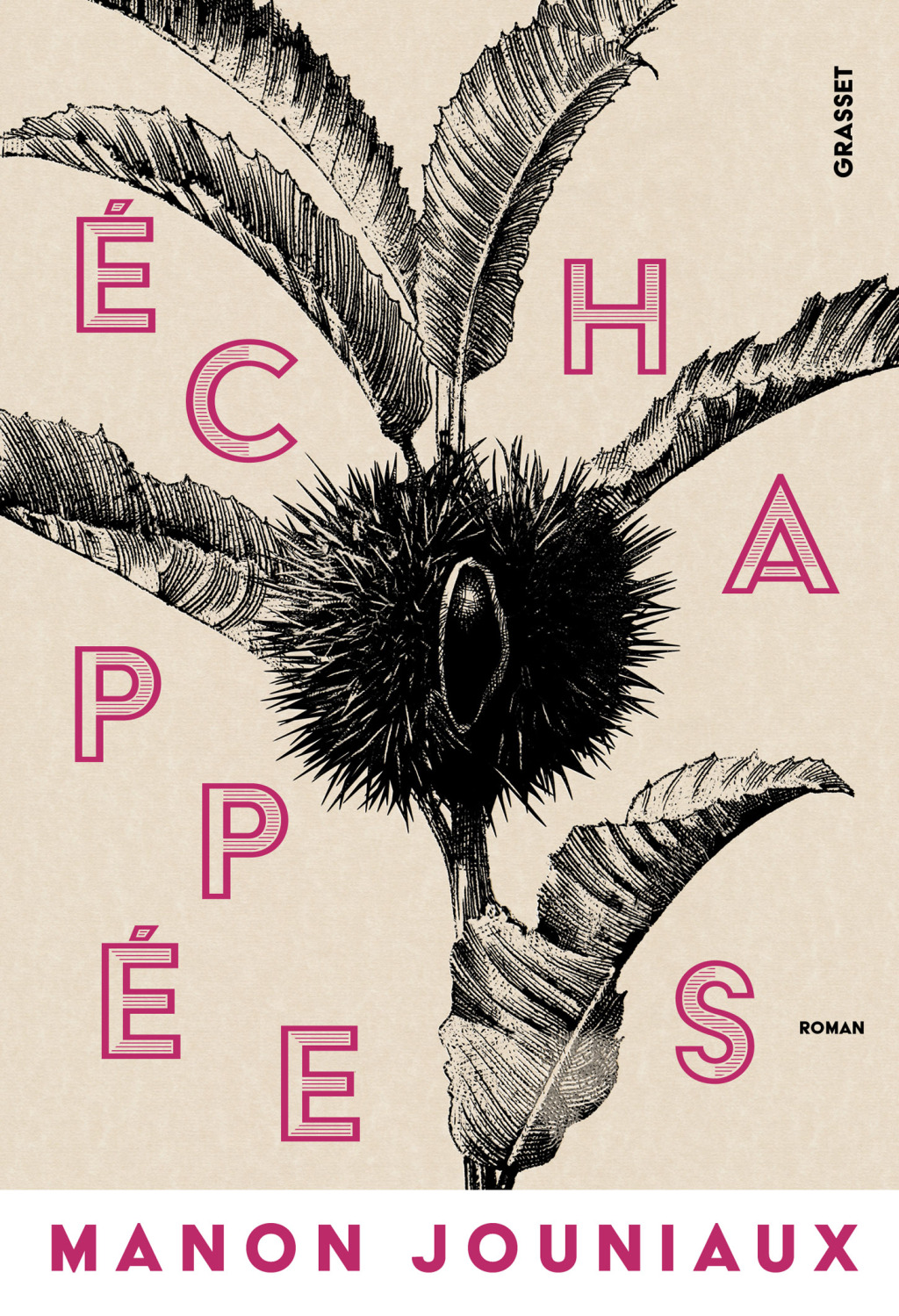 Echappées (eBook)