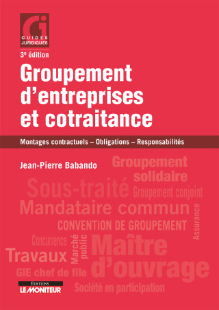 Cover image: Groupement d'entreprises et cotraitance 9782281132649