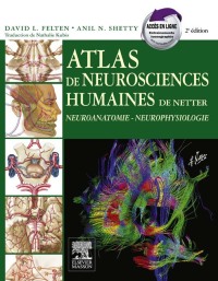 Cover image: Atlas de neurosciences humaines de Netter 2nd edition 9782294704604