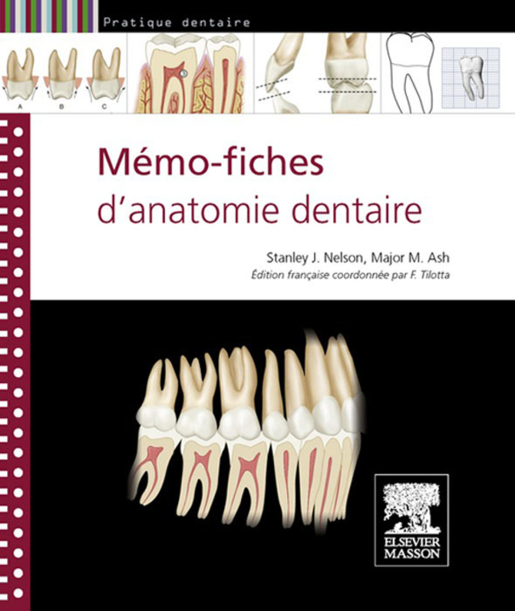 Mémo-fiches d’anatomie dentaire