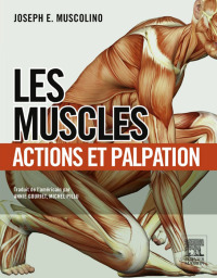 Omslagafbeelding: Les muscles : actions et palpation 9782294728334