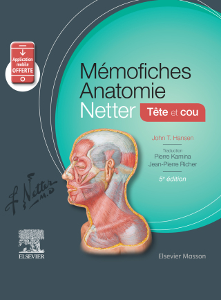 Imagen de portada: Mémofiches Anatomie Netter - Tête et cou 5th edition 9782294758683