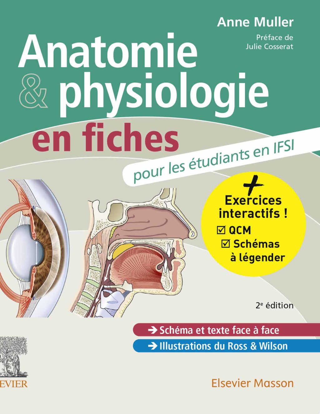 Anatomie et physiologie en fiches pour les étudiants en IFSI Avec un site Internet d’entraînements interactifs 2nd Edition
    Newer Edition Available