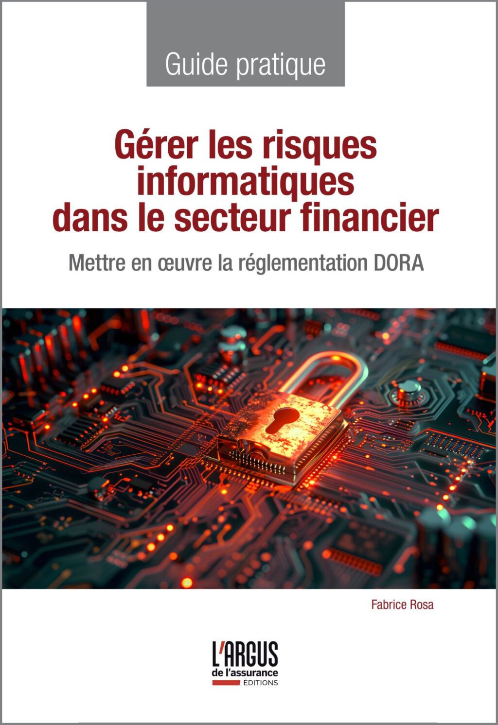 Gérer les risques informatiques dans le secteur financier Mettre en oeuvre la réglementation DORA