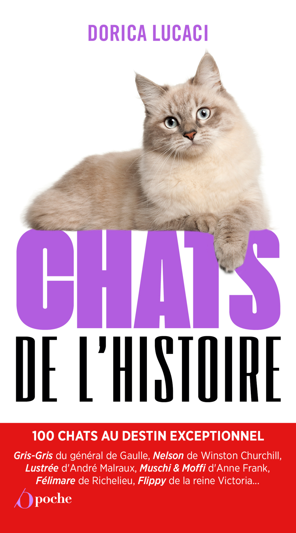 Chats de l’histoire