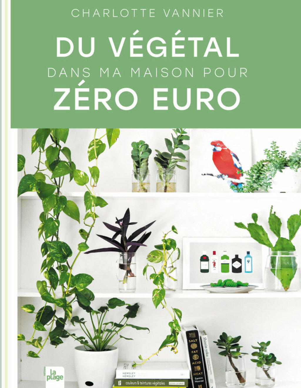 Du végétal dans ma maison pour zéro euro