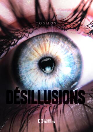 Cover image: Désillusions 9782386277115