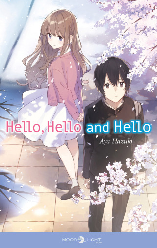 Cover image: Hello, hello and hello - Roman 9782413042945