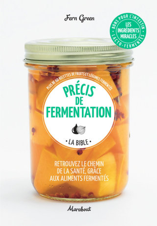Cover image: Précis de fermentation 9782501139182