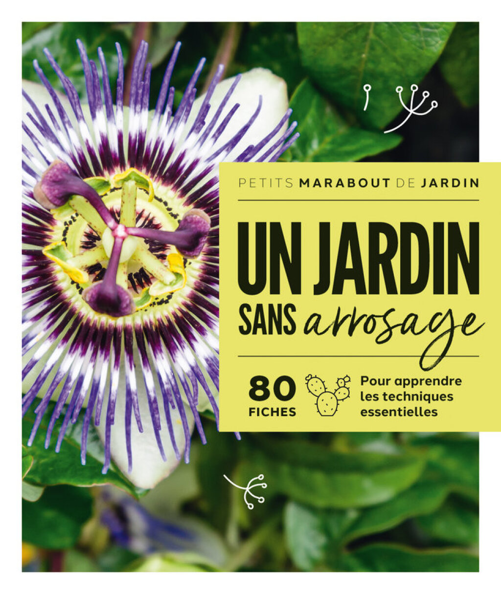 Un jardin sans arrosage