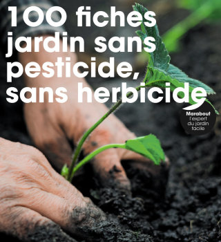 Cover image: 100 fiches pour jardin sans pesticide, sans herbicide 9782501147682