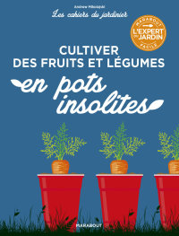 Cover image: Les cahiers du jardinier - Cultiver des fruits et légumes en pots insolites 9782501147699