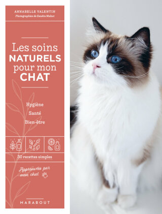 Cover image: Les soins naturels pour mon chat 9782501168731