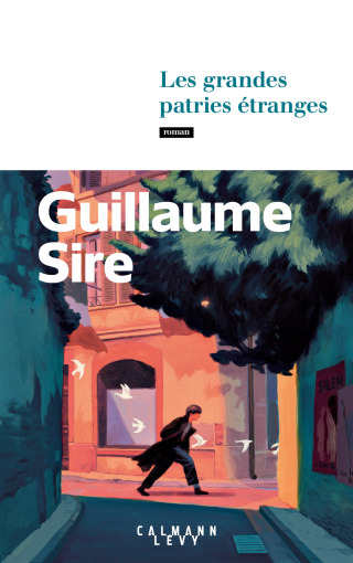 Cover image: Les grandes patries étranges 9782702184523
