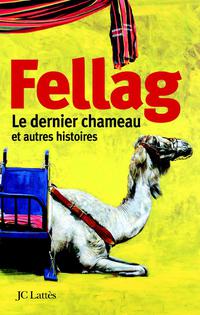 Cover image: Le dernier chameau et autres histoires 9782709625180