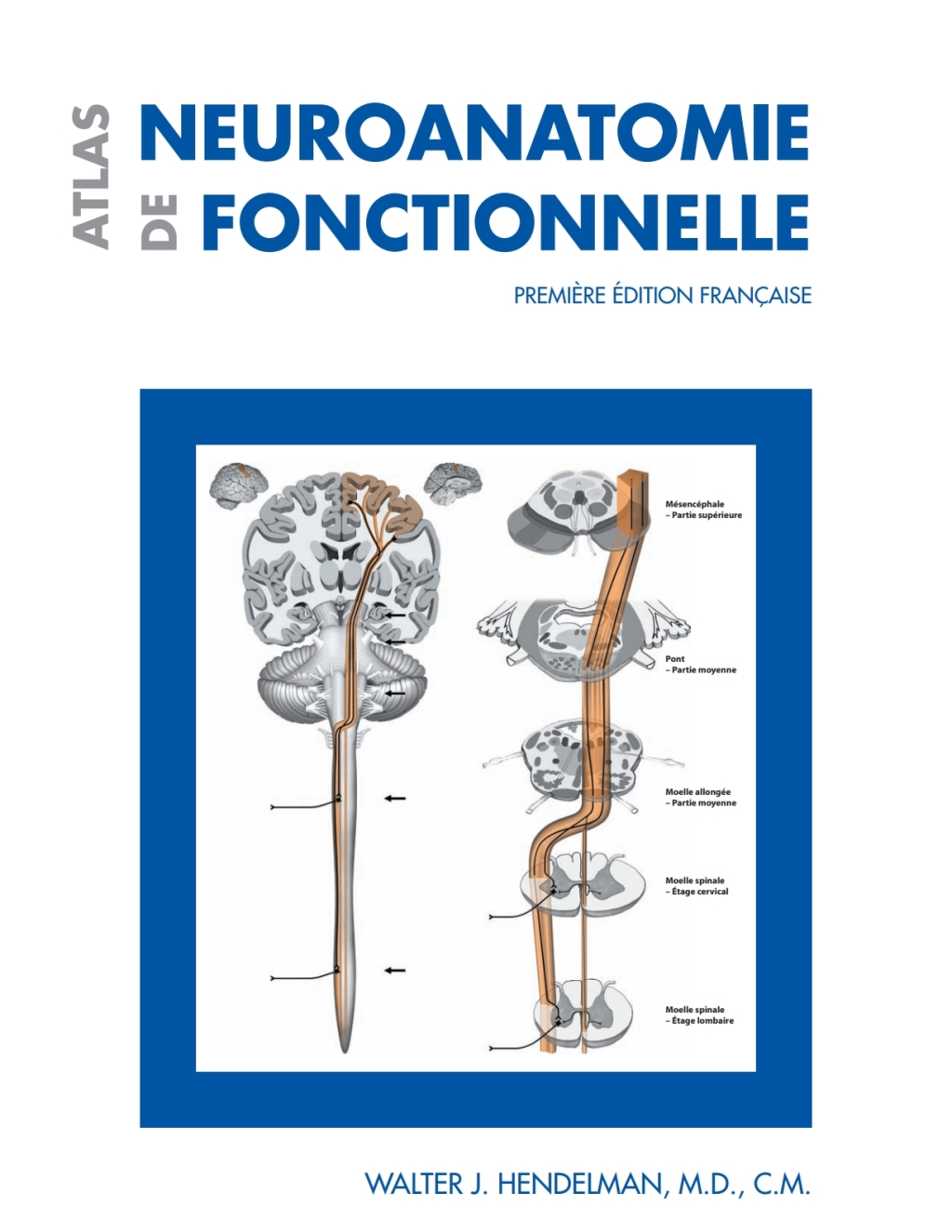 Atlas de neuroanatomie fonctionnelle Première édition française