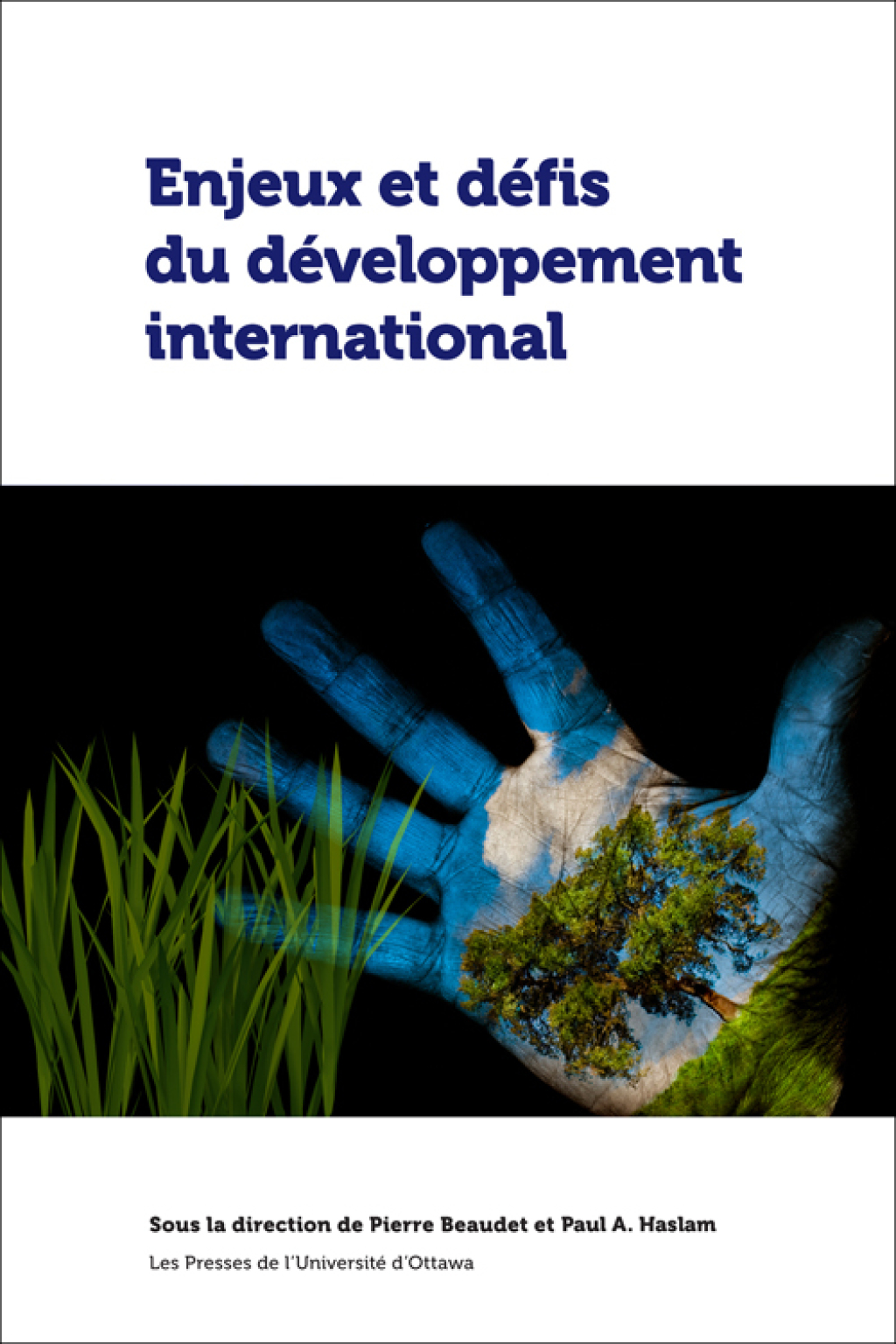 Enjeux et défis du développement international