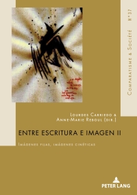Immagine di copertina: Entre escritura e imagen II 1st edition 9782807606289
