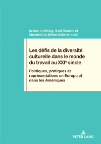 Imagen de portada: Les défis de la diversité culturelle dans le monde du travail au XXIe siècle 1st edition 9782807610828
