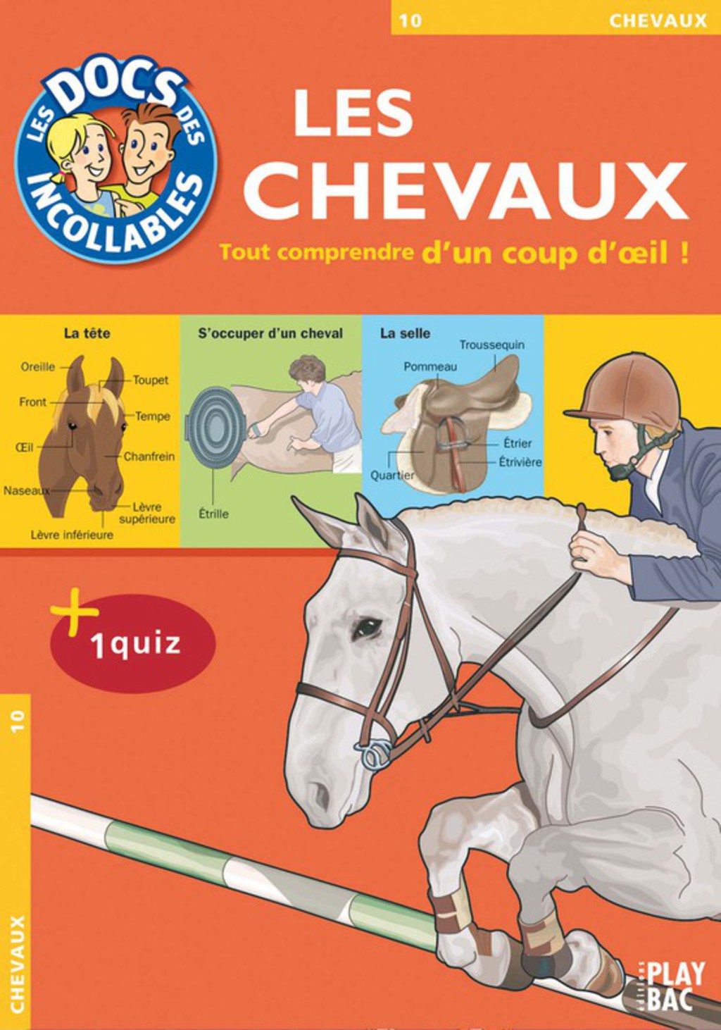 Les Incollables : Les Chevaux Tout comprendre d’un coup d’oeil !