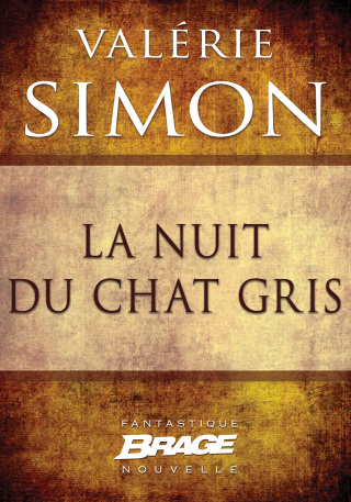 Cover image: La Nuit du chat gris 9782820521538