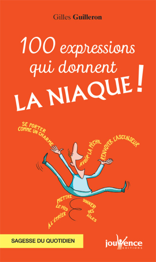 Cover image: 100 expressions qui donnent la niaque ! 9782889116744