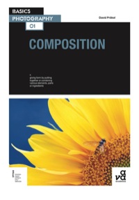 Cover image: Basics Photography 01: Composition 1st edition 9782940373048