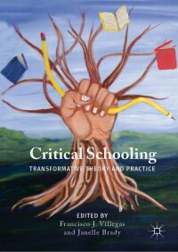 Imagen de portada: Critical Schooling 9783030007157