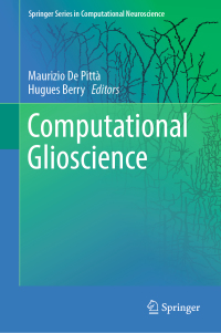 Cover image: Computational Glioscience 9783030008154