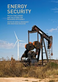 Immagine di copertina: Energy Security 9783030010324