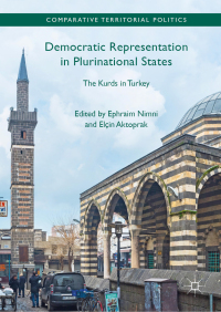 Cover image: Democratic Representation in Plurinational States 9783030011079