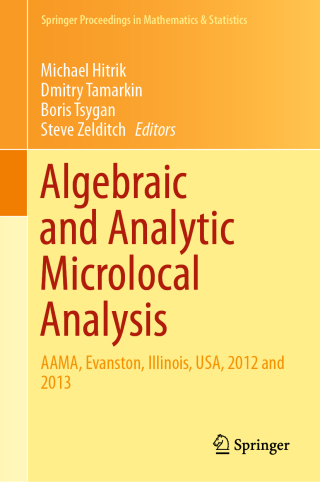 表紙画像: Algebraic and Analytic Microlocal Analysis 9783030015862