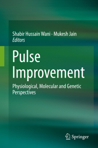 Cover image: Pulse Improvement 9783030017422