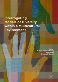 Imagen de portada: Interrogating Models of Diversity within a Multicultural Environment 9783030039127