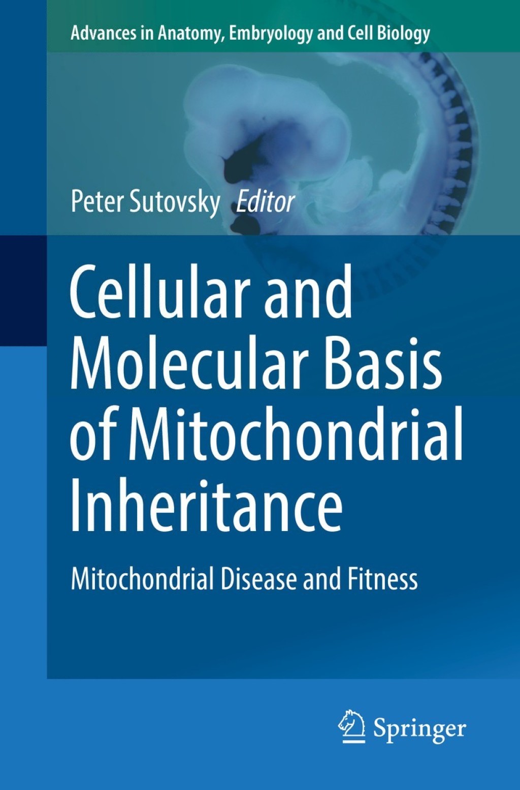 Cellular and Molecular Basis of Mitochondrial Inheritance Mitochondrial Disease and Fitness