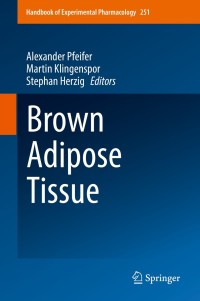 Cover image: Brown Adipose Tissue 9783030105129