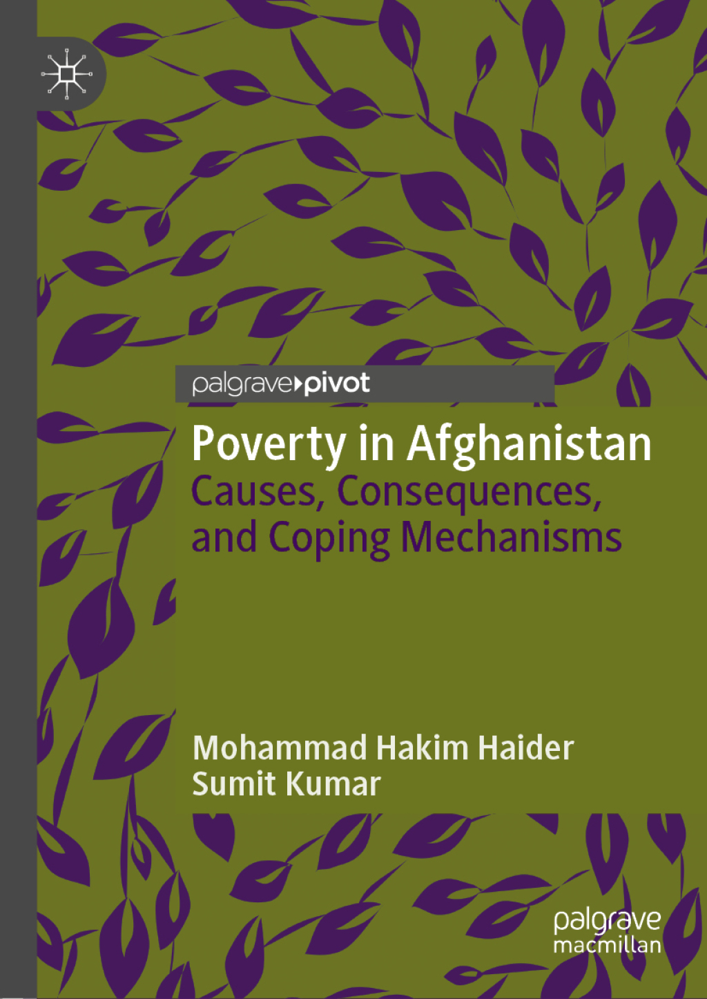Poverty in Afghanistan Causes, Consequences, and Coping Mechanisms