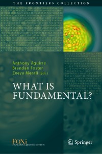 صورة الغلاف: What is Fundamental? 9783030113001