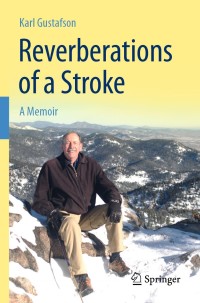 Cover image: Reverberations of a Stroke 9783030128616