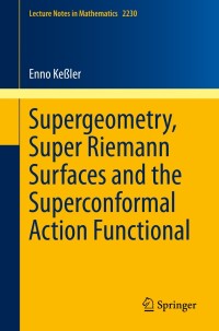 表紙画像: Supergeometry, Super Riemann Surfaces and the Superconformal Action Functional 9783030137571