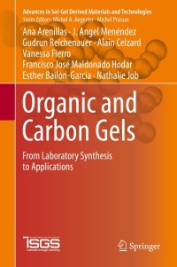 صورة الغلاف: Organic and Carbon Gels 9783030138967