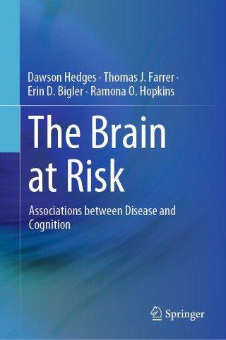Imagen de portada: The Brain at Risk 9783030142582