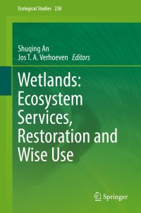 Imagen de portada: Wetlands: Ecosystem Services, Restoration and Wise Use 9783030148607