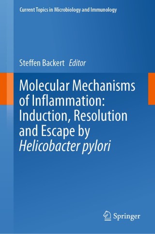 Omslagafbeelding: Molecular Mechanisms of Inflammation: Induction, Resolution and Escape by Helicobacter pylori 9783030151379