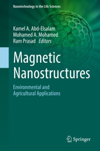 Imagen de portada: Magnetic Nanostructures 9783030164386